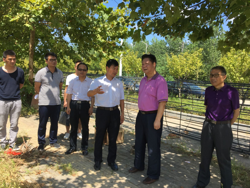 调研组一行实地查看星晖新能源汽车项目